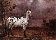 POTTER, Paulus The Spotted Horse af oil on canvas